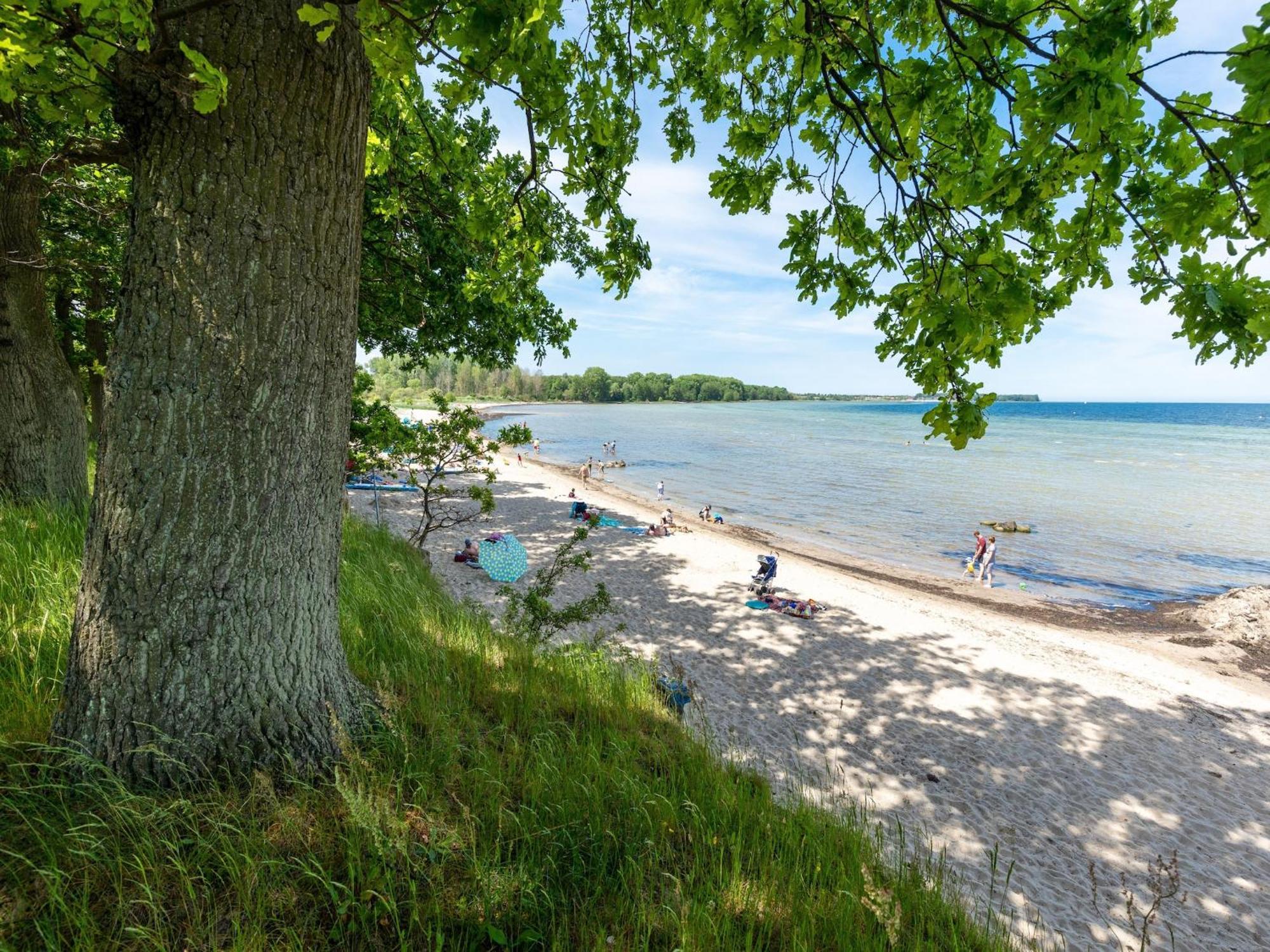 Pleasant Holiday Home In Zierow Near Sea Zewnętrze zdjęcie