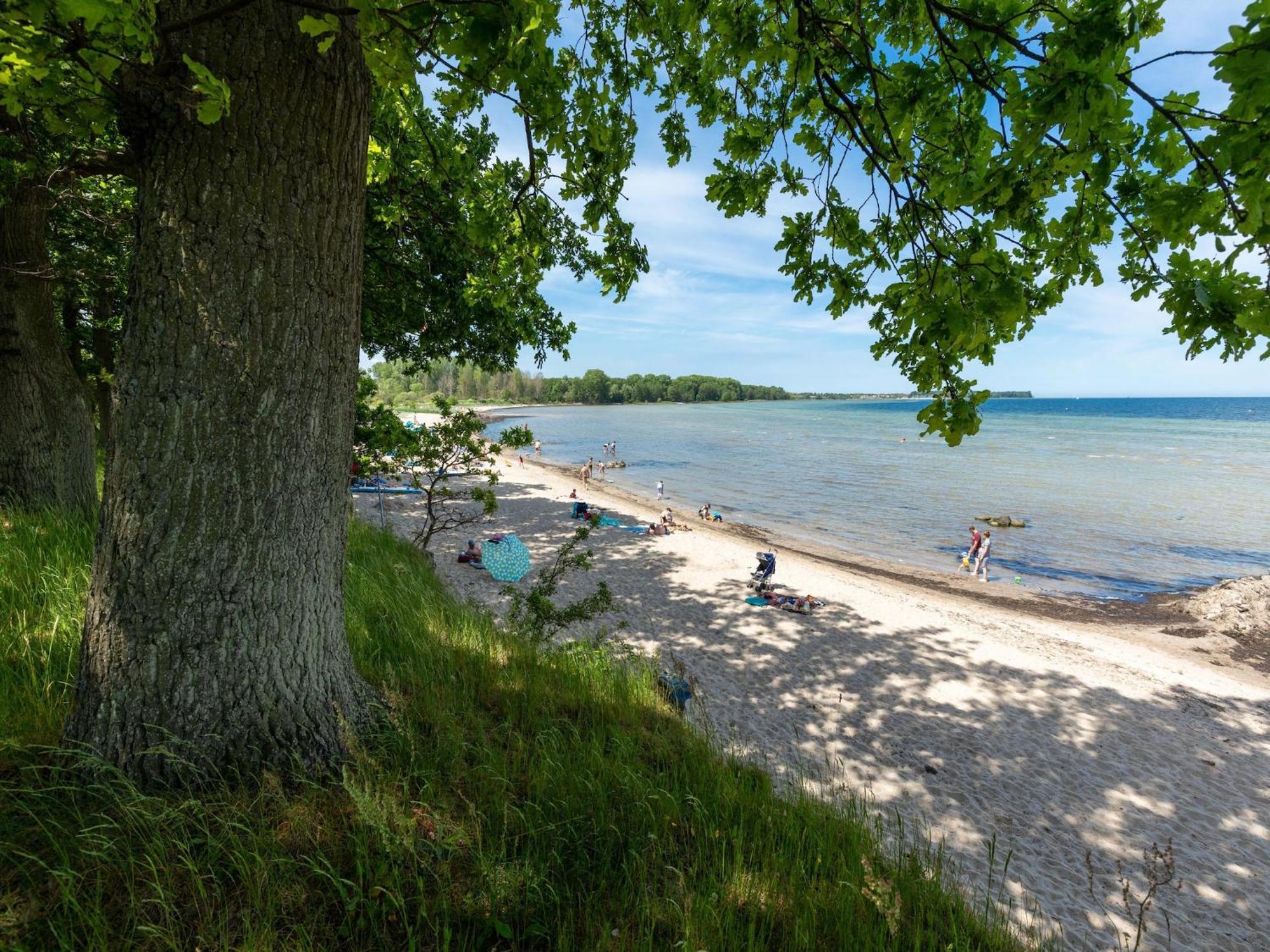 Pleasant Holiday Home In Zierow Near Sea Zewnętrze zdjęcie